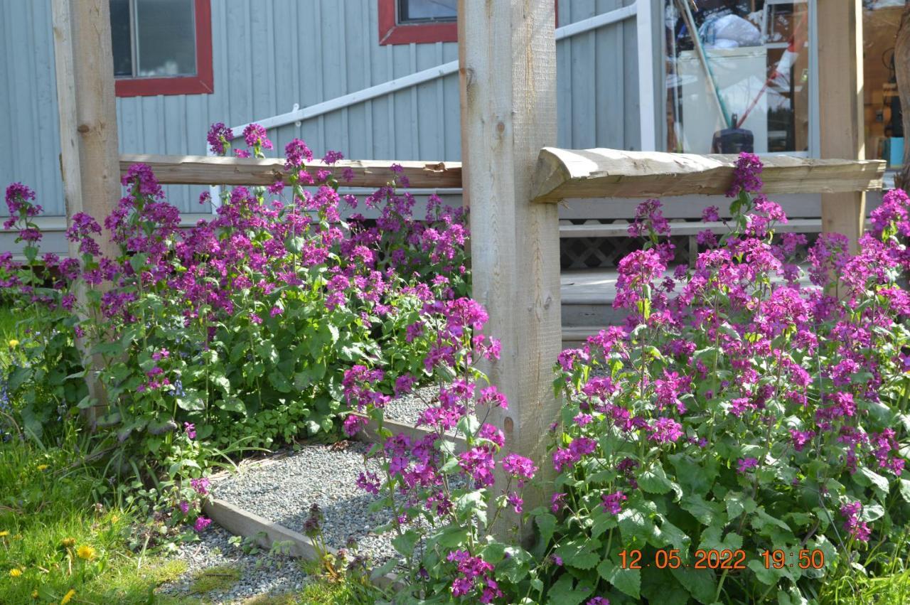 Estuary House Reflexology B&B Courtenay Exterior foto