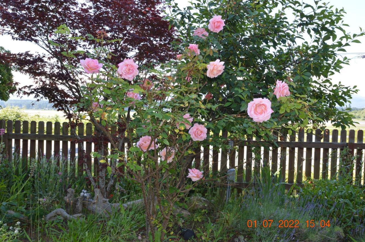 Estuary House Reflexology B&B Courtenay Exterior foto