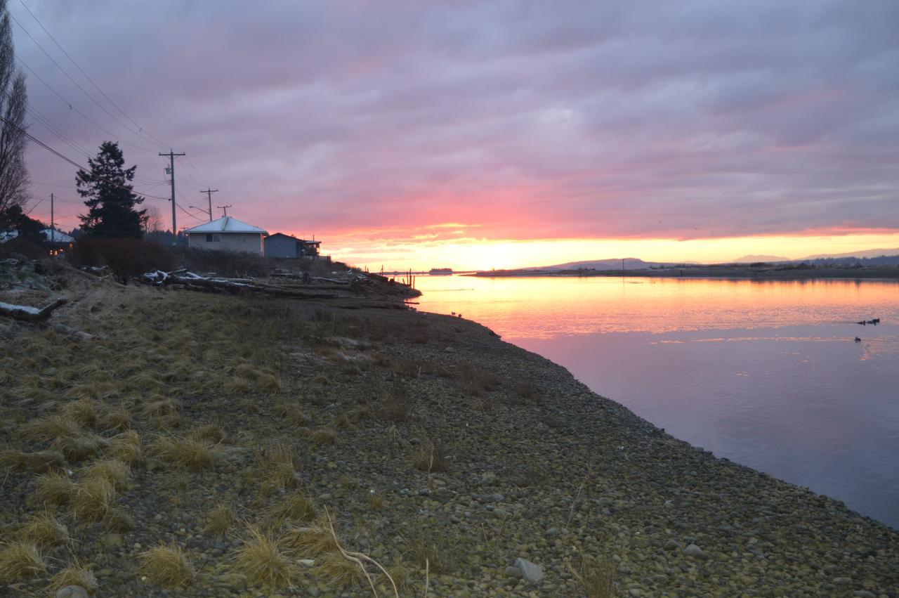 Estuary House Reflexology B&B Courtenay Exterior foto